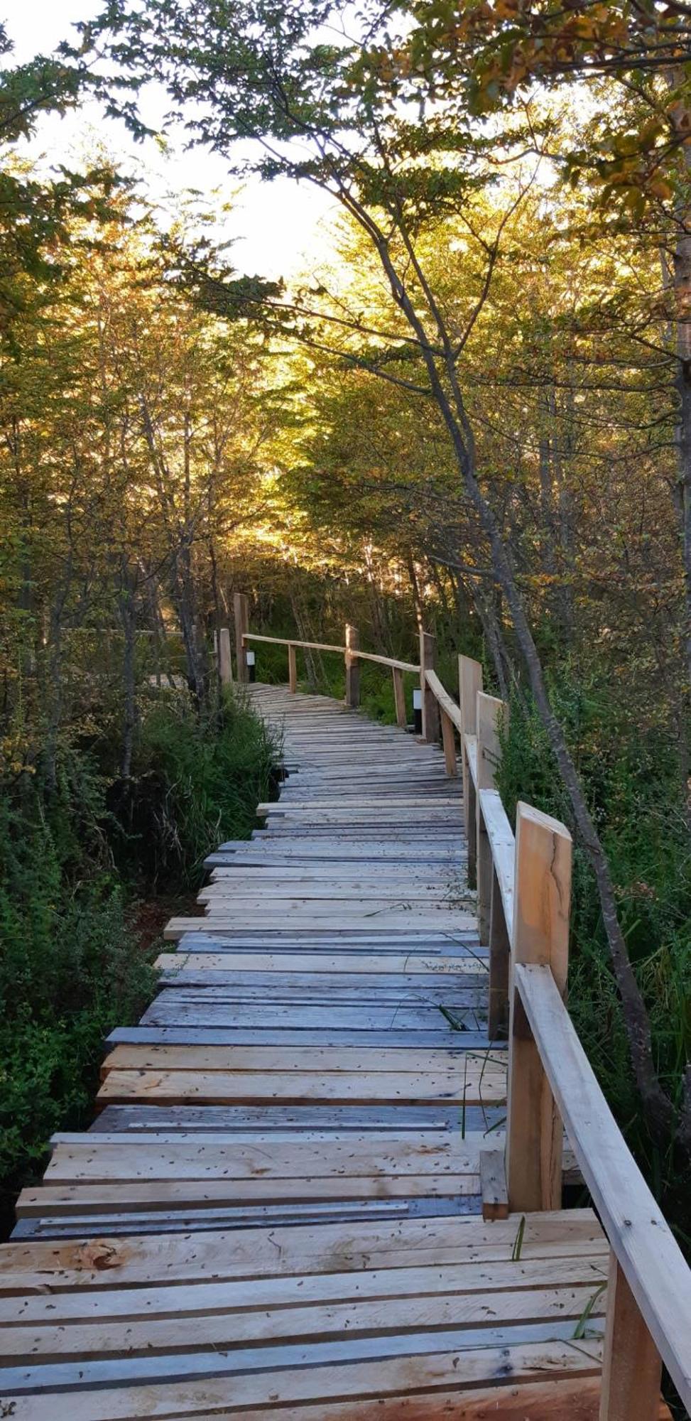 Nirebosque, Casas De Pueblo Βίλα Villa La Angostura Εξωτερικό φωτογραφία
